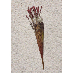 Paşabahçe Grass 75 cm Kırmızı - 2