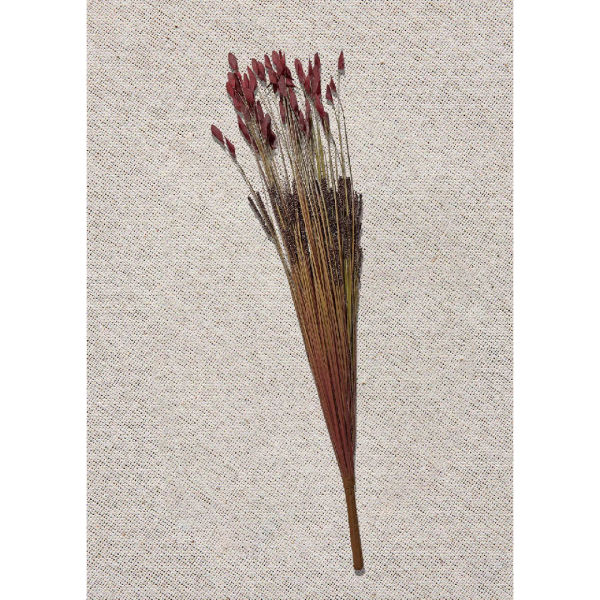 Paşabahçe Grass 75 cm Kırmızı - 2