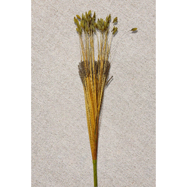 Paşabahçe Grass 75 cm Yeşil - 2