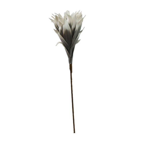 Paşabahçe Yıldız Çiçeği Tekli Beyaz 90 cm - 1