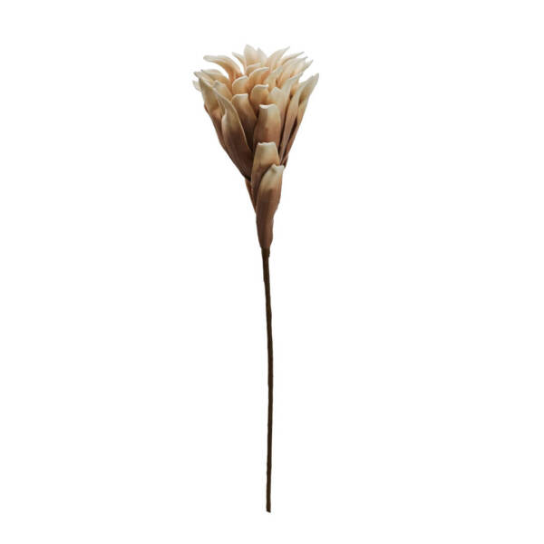 Paşabahçe Yıldız Çiçeği Tekli Hardal 90 cm - 1
